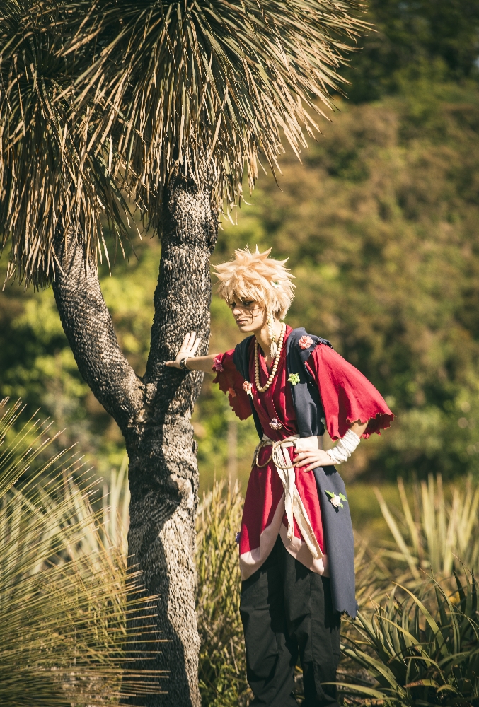 Chobei Japanantes - Photo 4