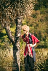 Chobei Japanantes preview 3