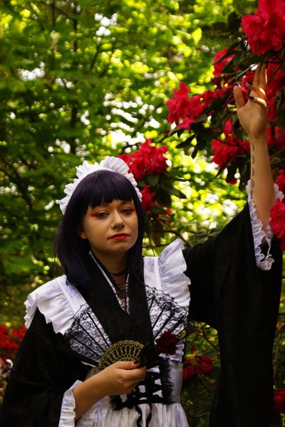 Megumi - Japan Party 