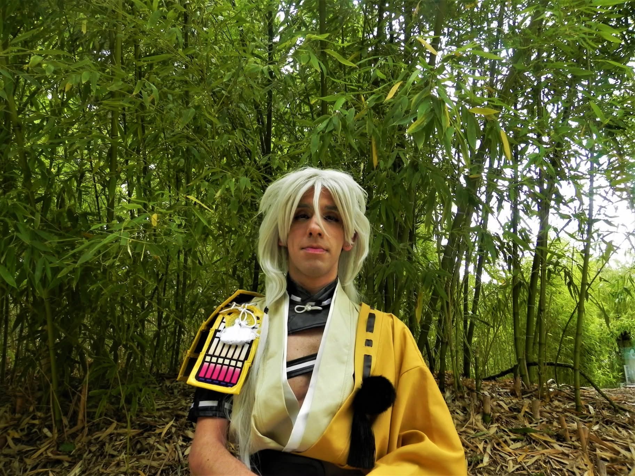 Kojitsumaru, photo 53