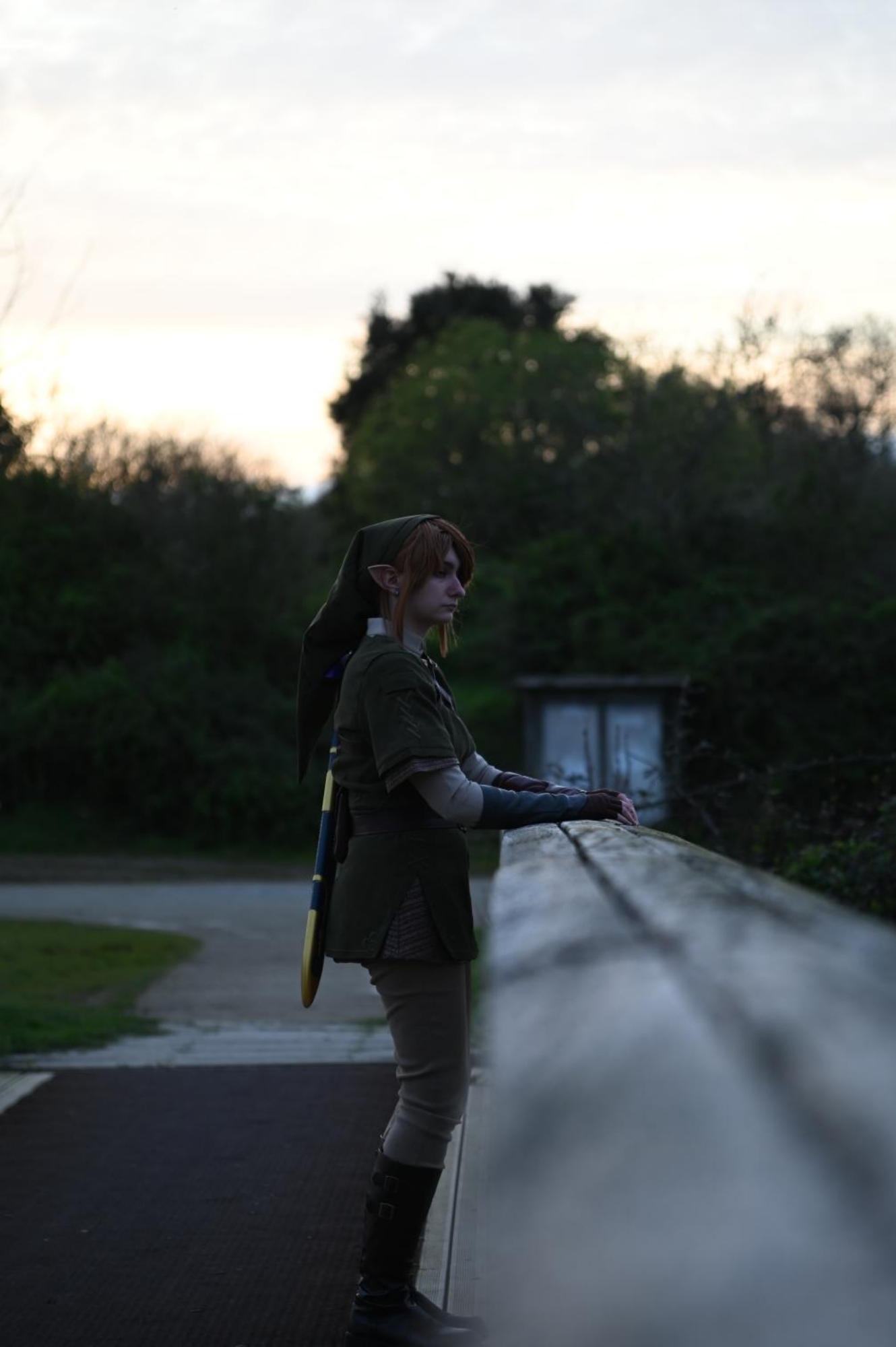 Link — photo 100