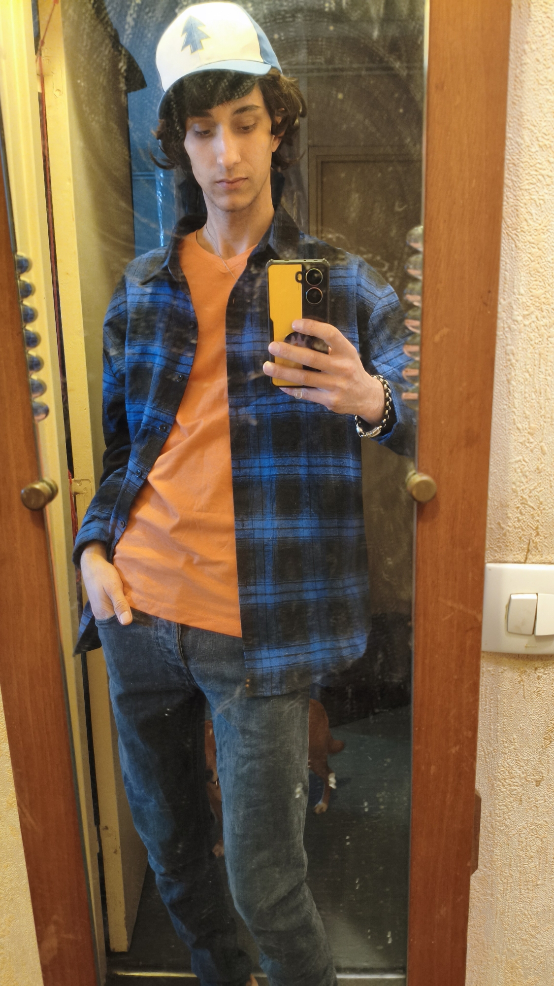 Dipper Pines — photo 9