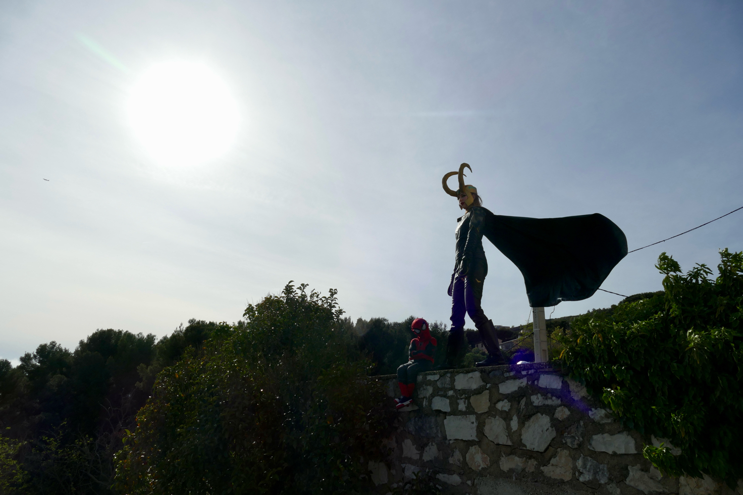 Loki — photo 13