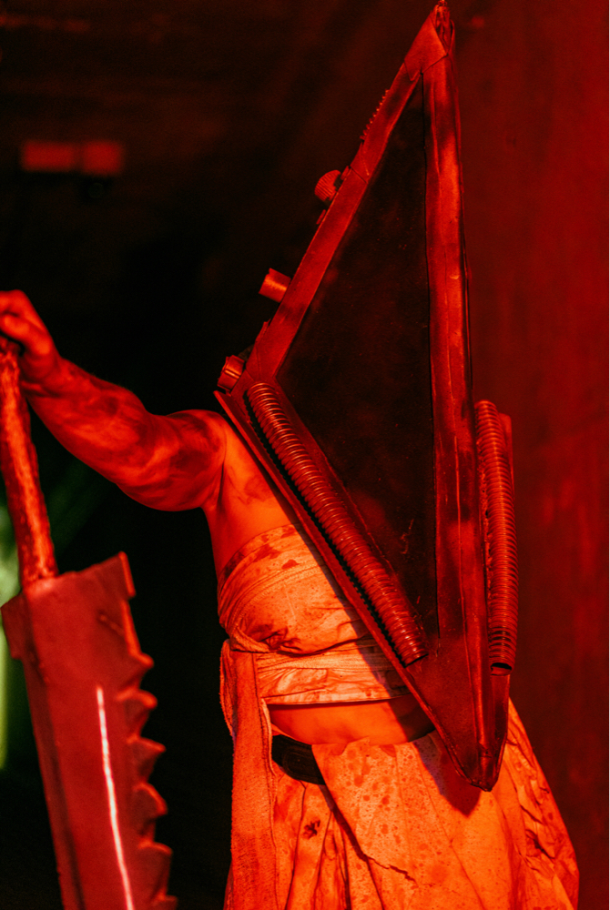 Pyramid head  - Photo 7