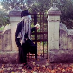 Undertaker preview 2