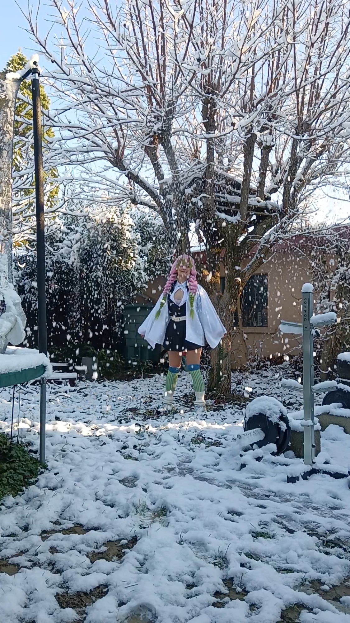 Mitsuri Kanroji — photo 39