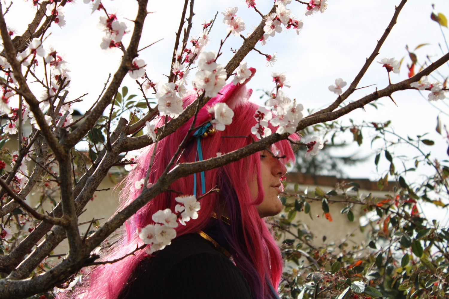 Ahri spirit blossom — photo 6