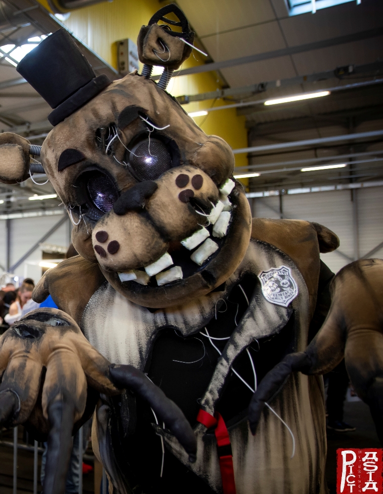 Freddy - Photo 3