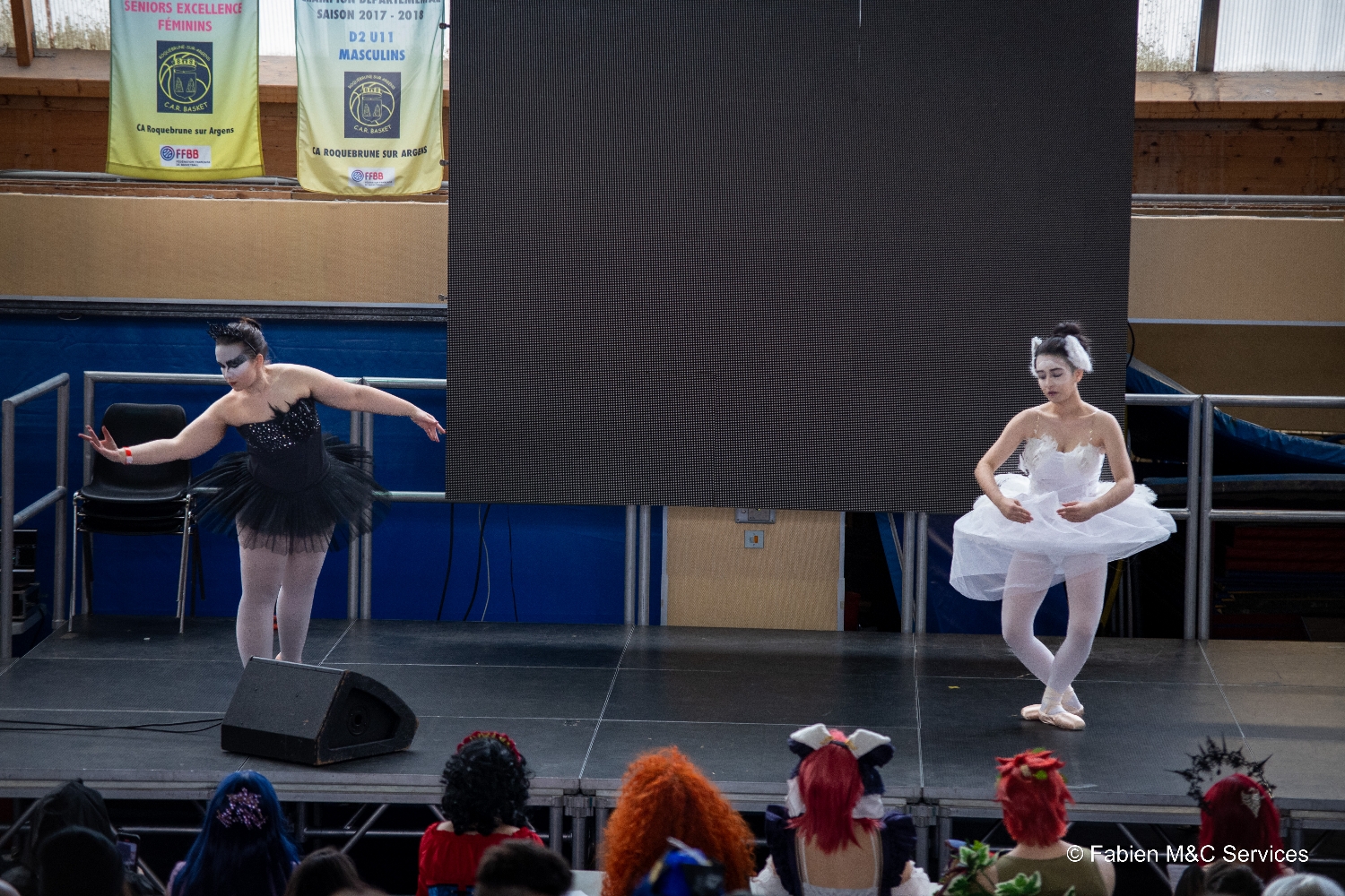 Black swan — photo 5