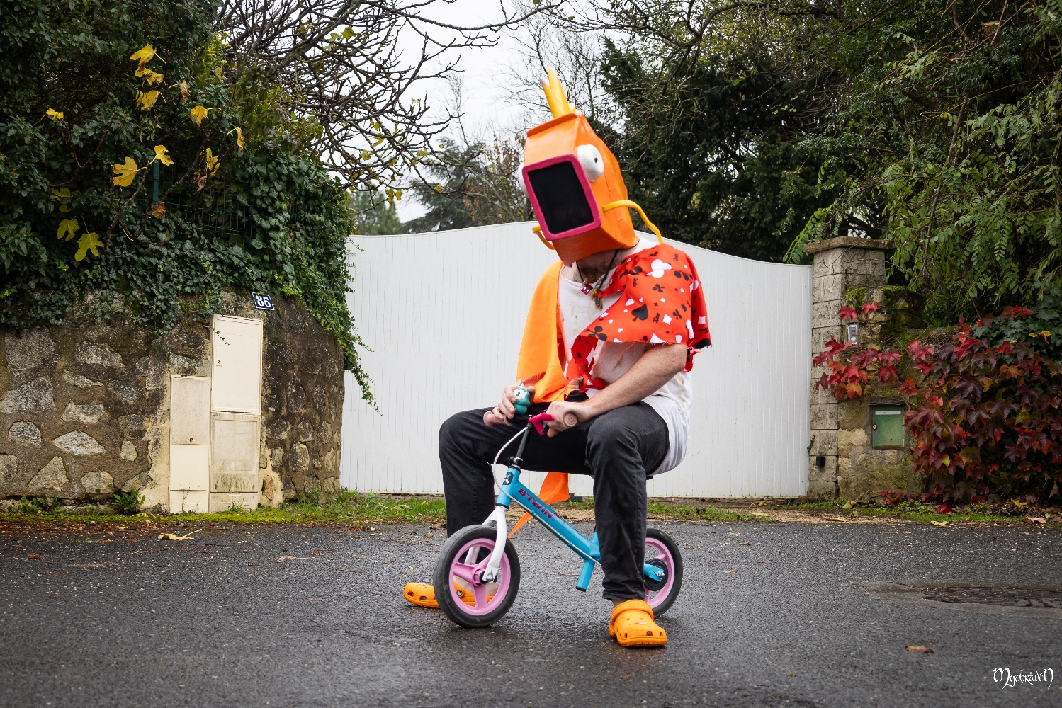 Gare à Pict'Asia - Photo 12