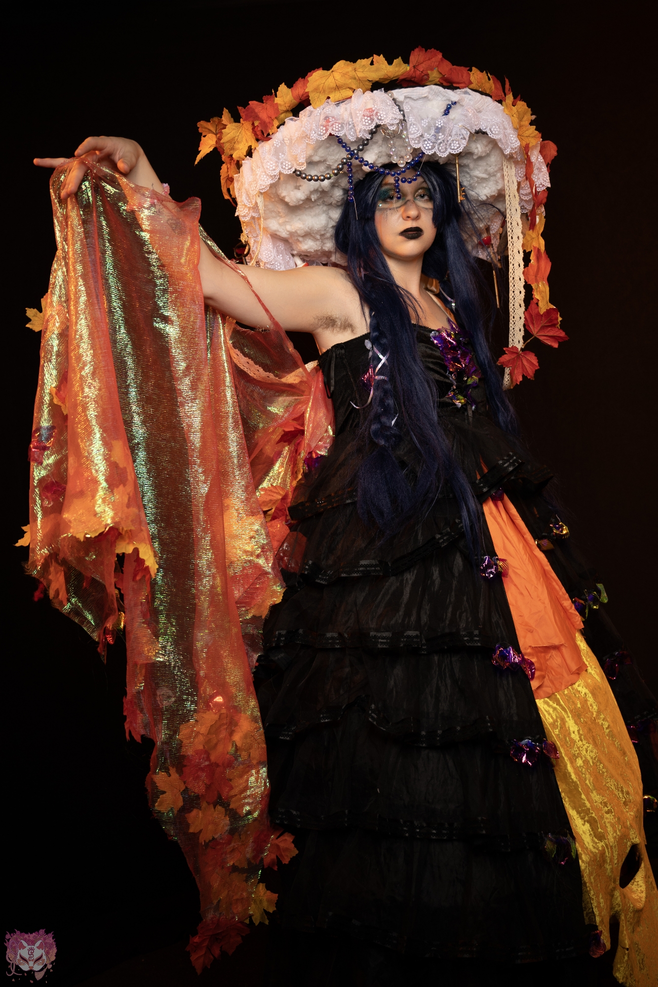 Aerys - Automne - Photo 1