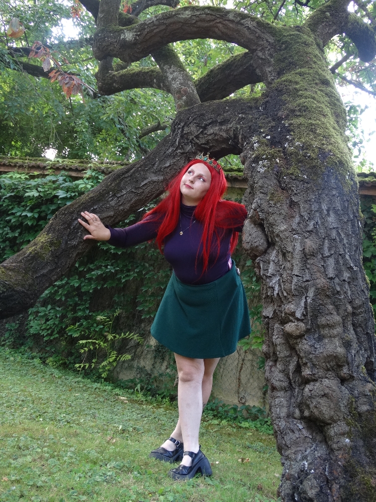 Ariel vrs humaine — photo 16