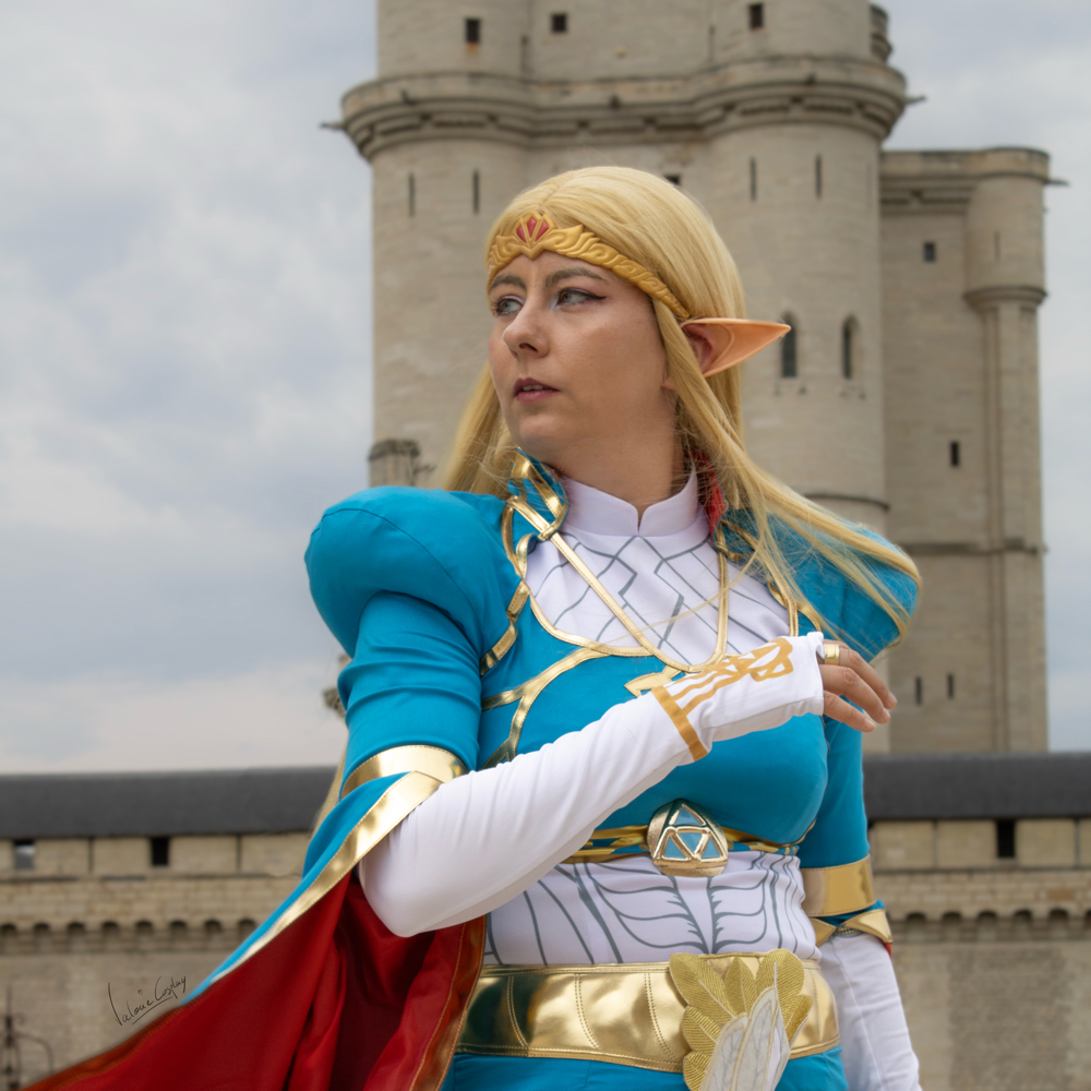 Zelda — photo 10
