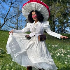 Amanita preview 3