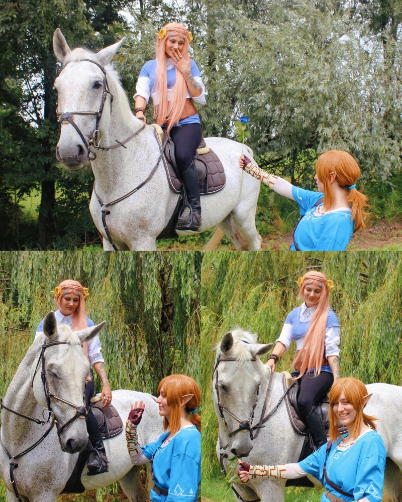 Link (Botw) - Photo 24