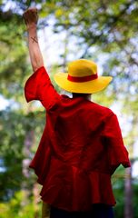 Monkey D Luffy preview 3