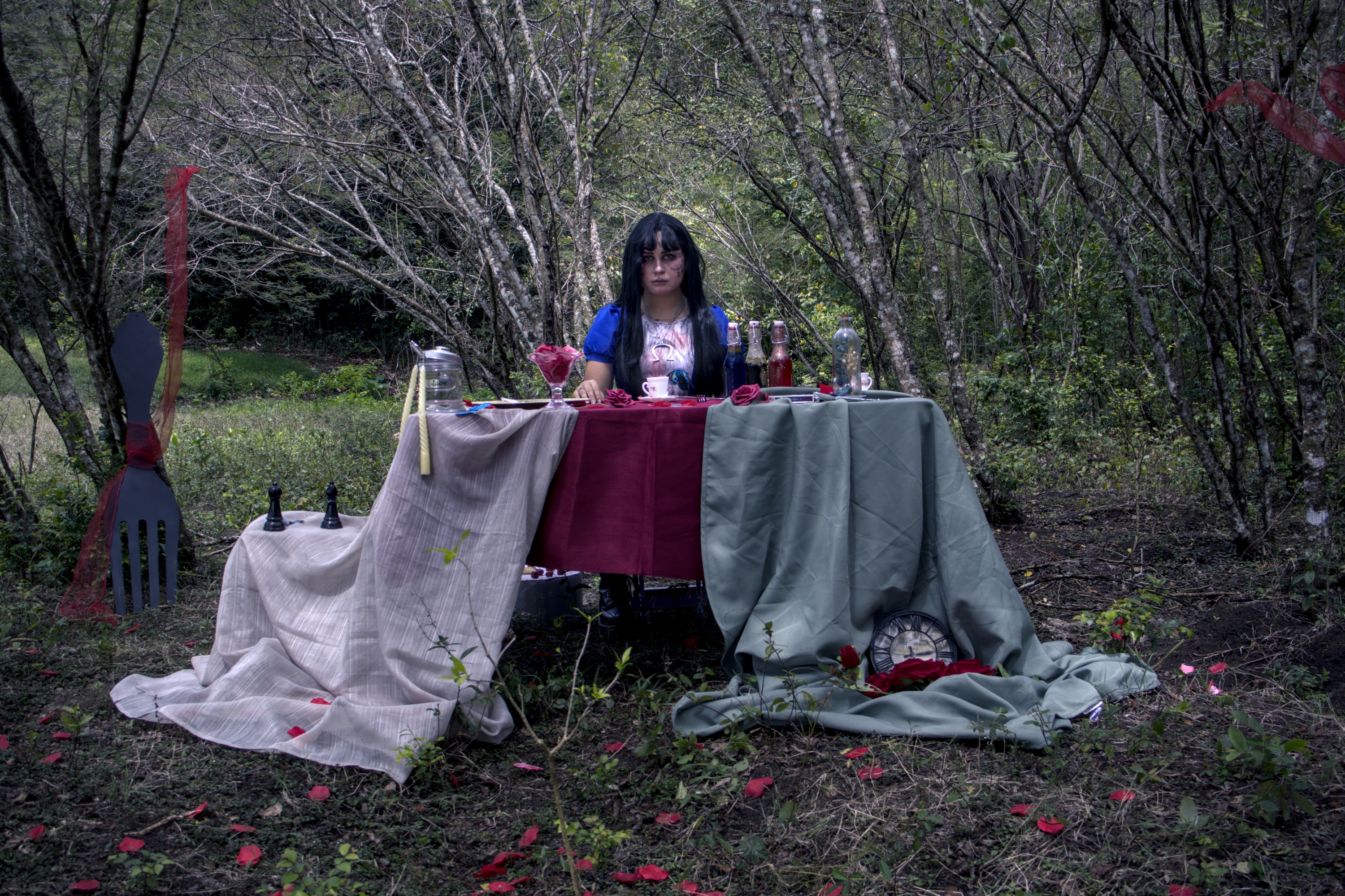 Alice Lidle — photo 17