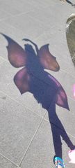 Winx club preview 2