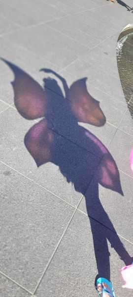 Liiki - Winx club