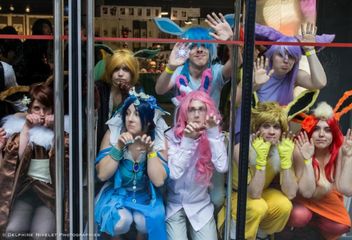 Famille Evoli preview 2