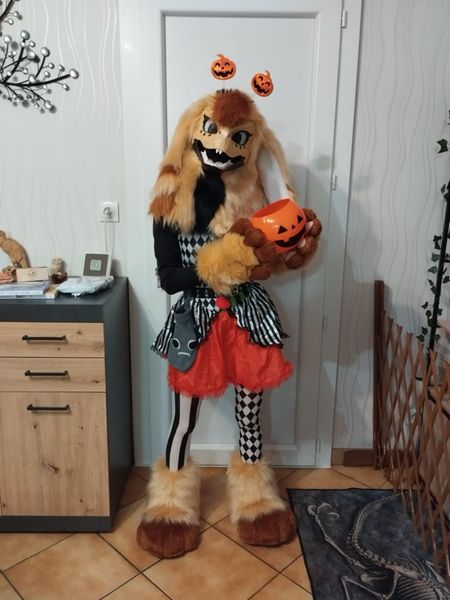 Yuna.floofs - Photos Tapioca