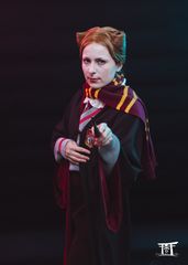 Mary Tudor H.P preview 3
