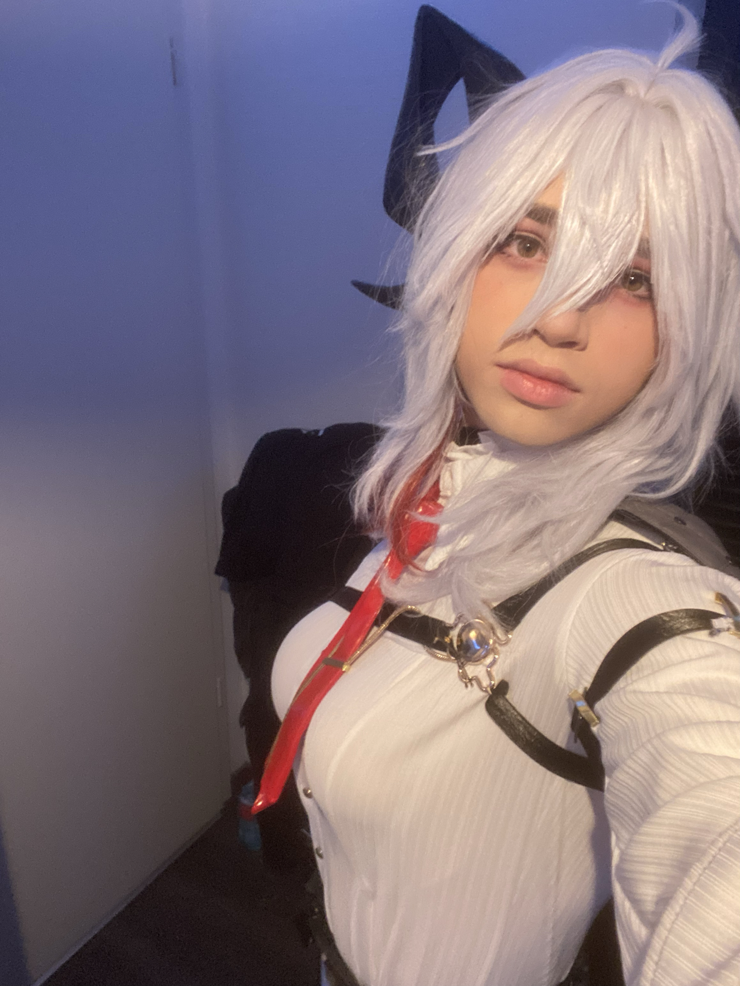 Photos Zani — photo 35