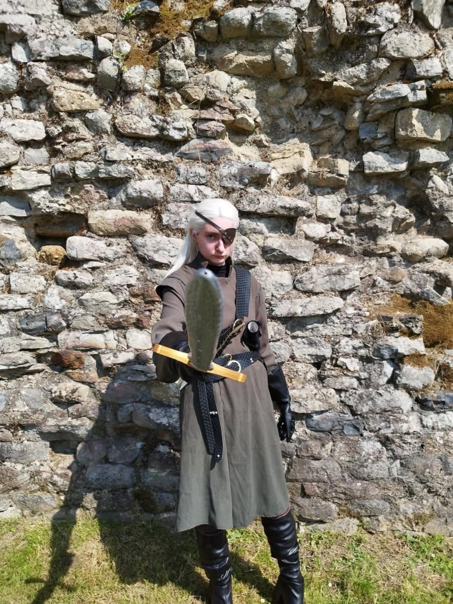 Aemond Regent - Photo 35