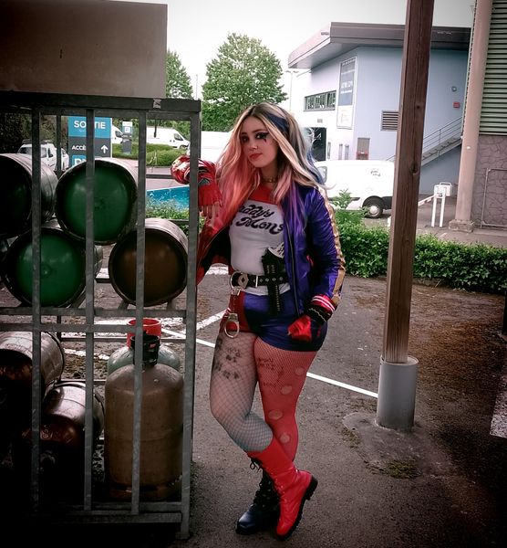 Gwen - Harley Quinn 