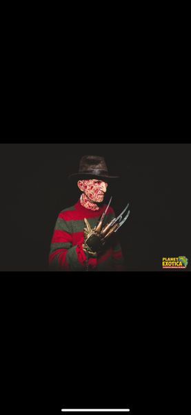 Freddy-krueger - freddy krueger 