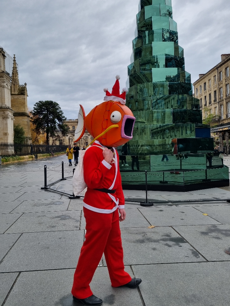 Magicarpe à Noël  - Photo 8