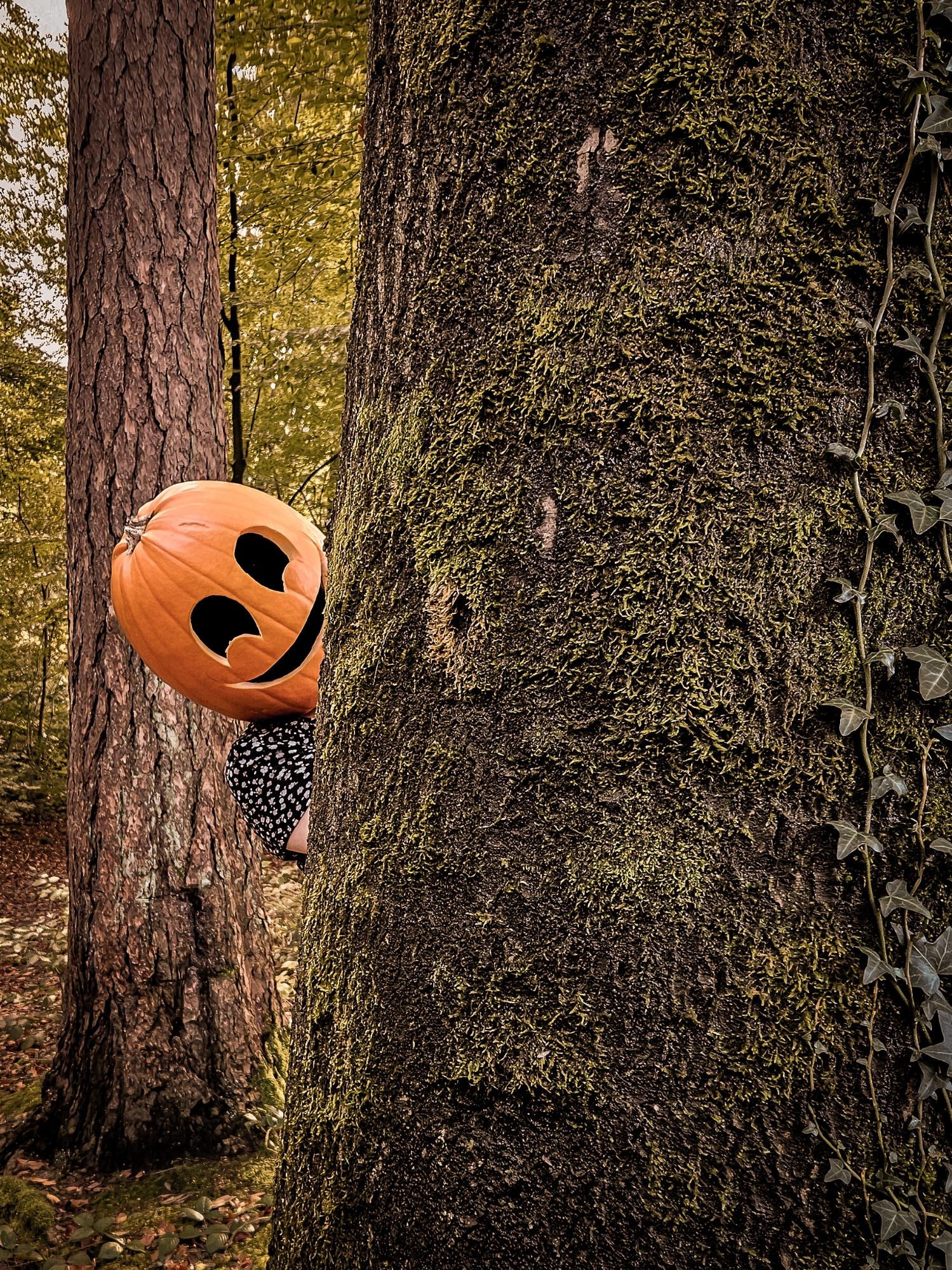 Pumpkin Heads — photo 8