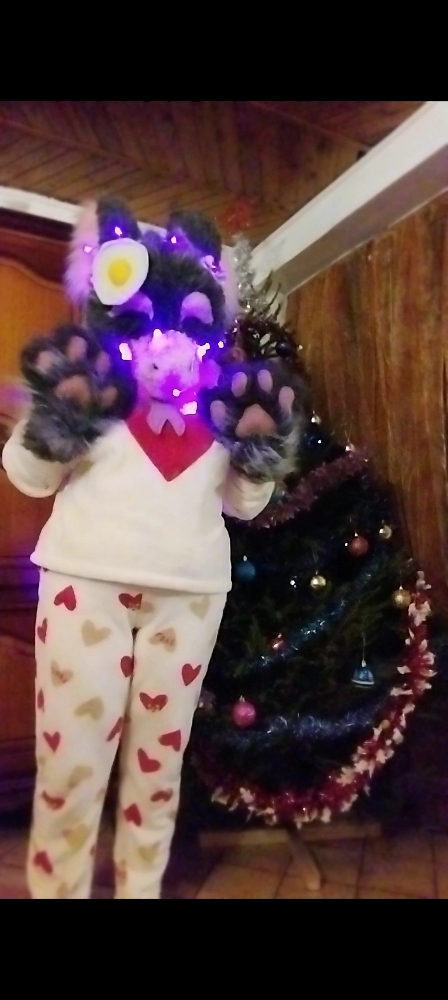 Noël — photo 7