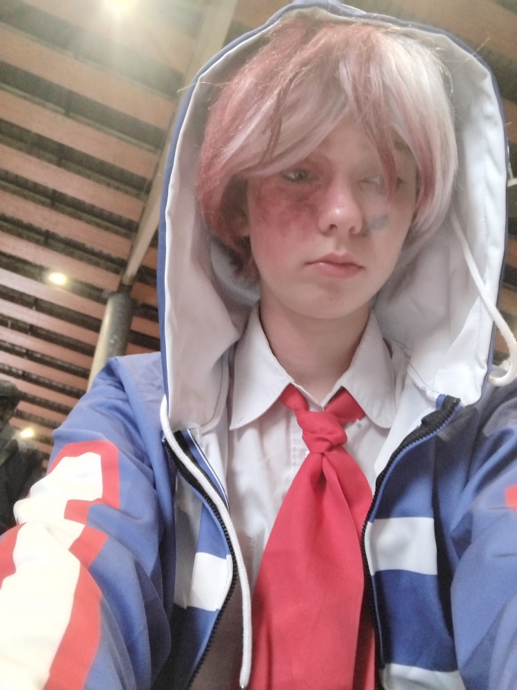 Shoto Todoroki - Photo 4