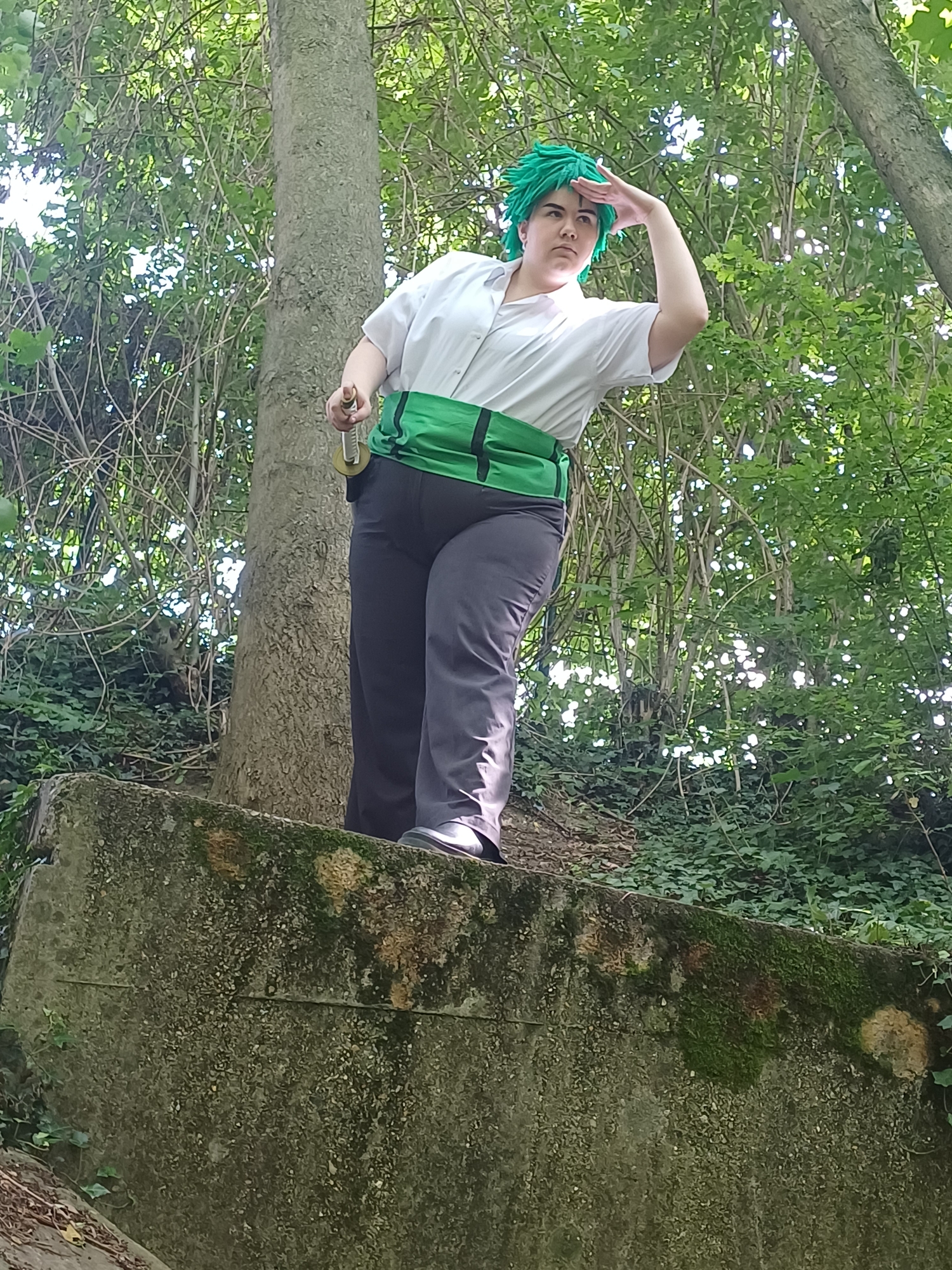 Zoro — photo 12