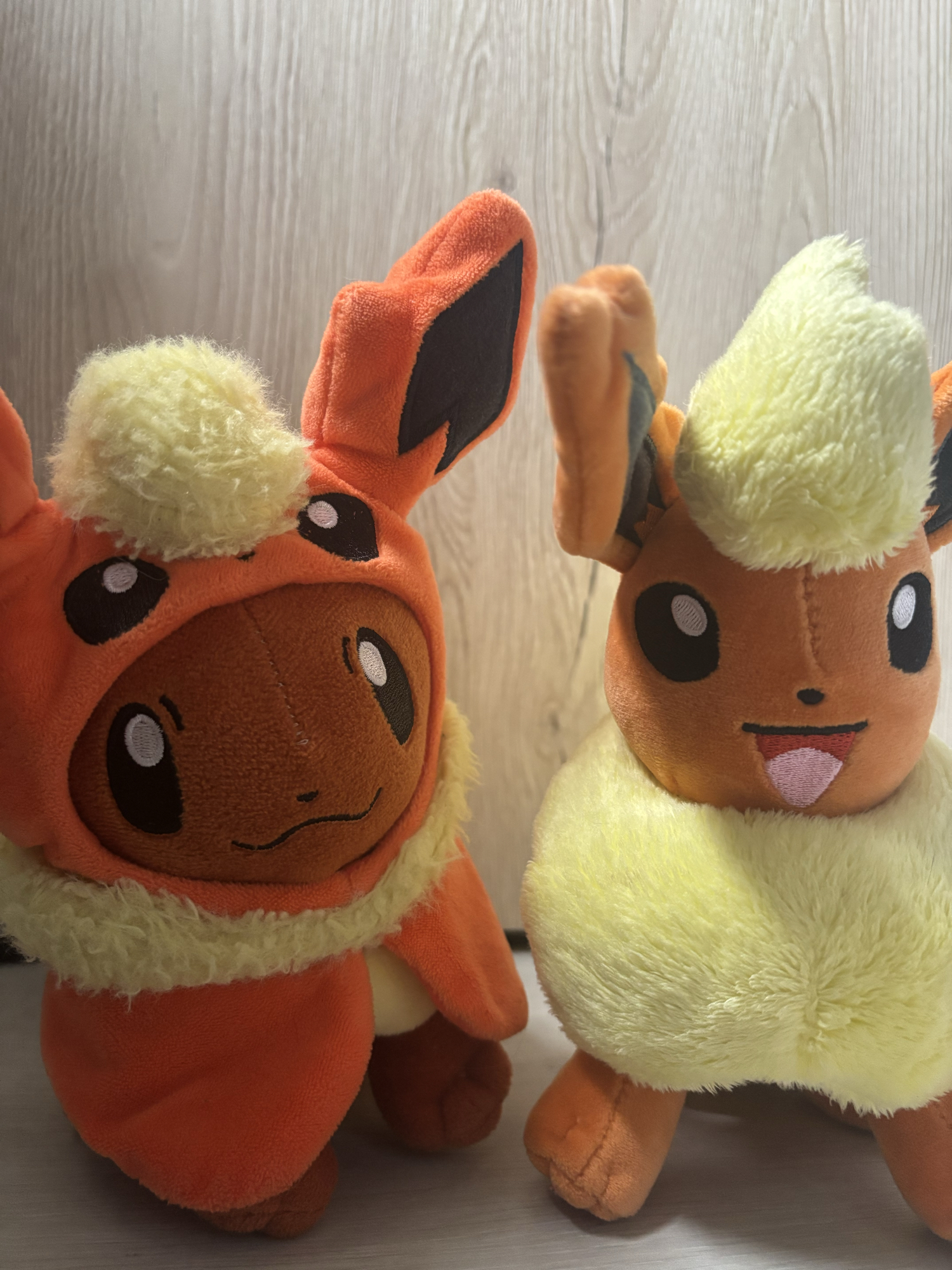 Evoli en Pyroli  - Photo 17