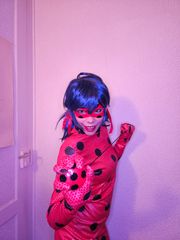 Ladybug preview 3