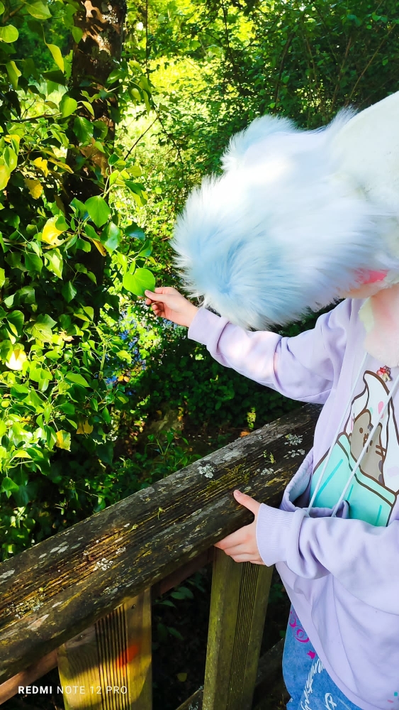 Debut du printemps — photo 8