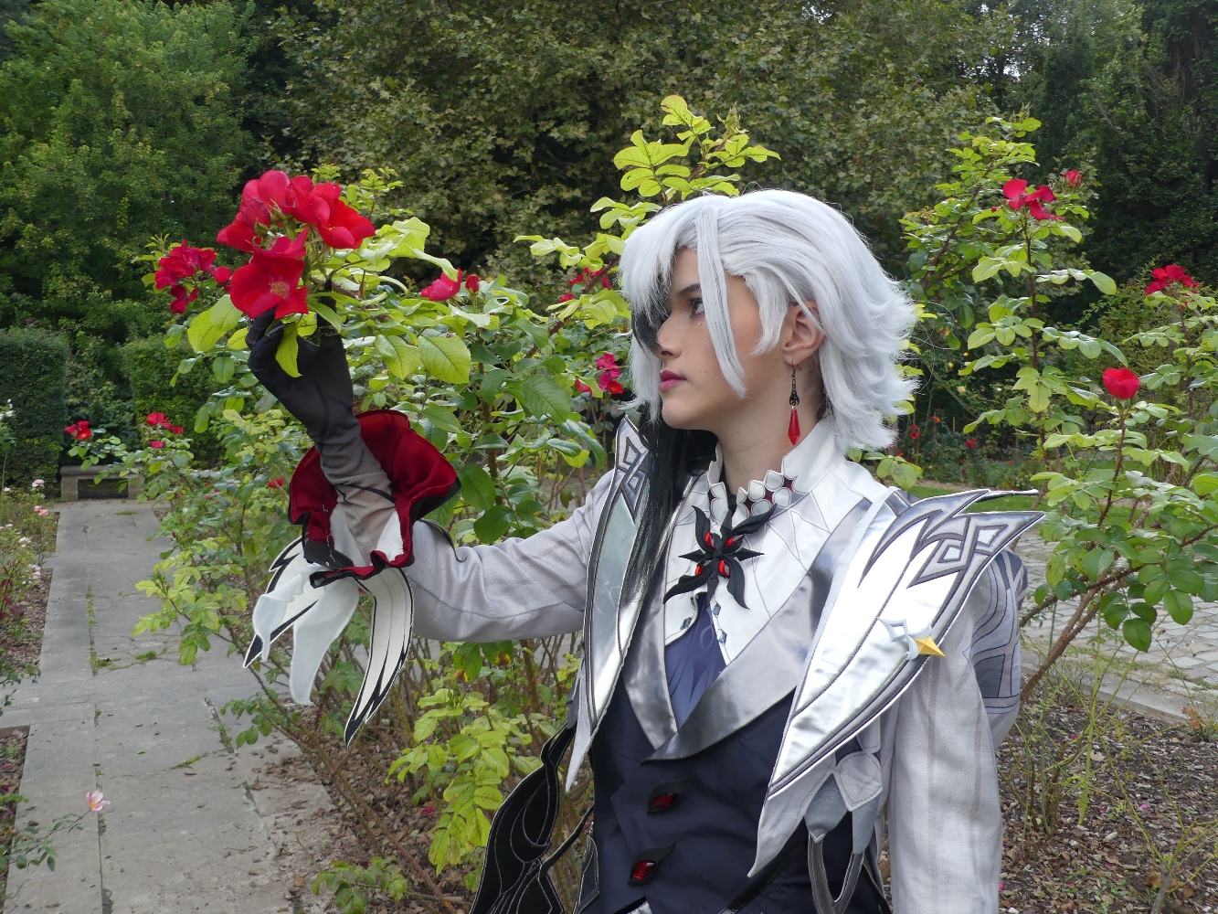 Arlecchino - Photo 16