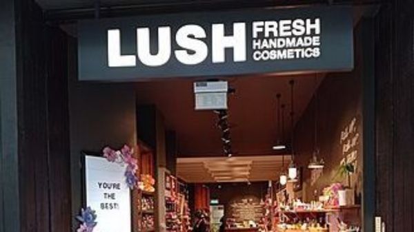 LUSH — illustration 1