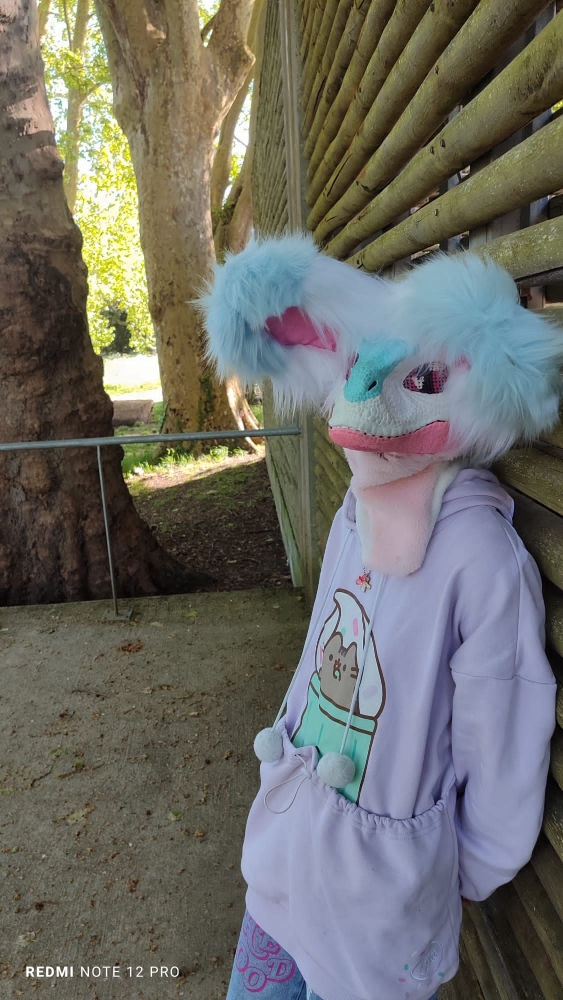 Debut du printemps  - Photo 23