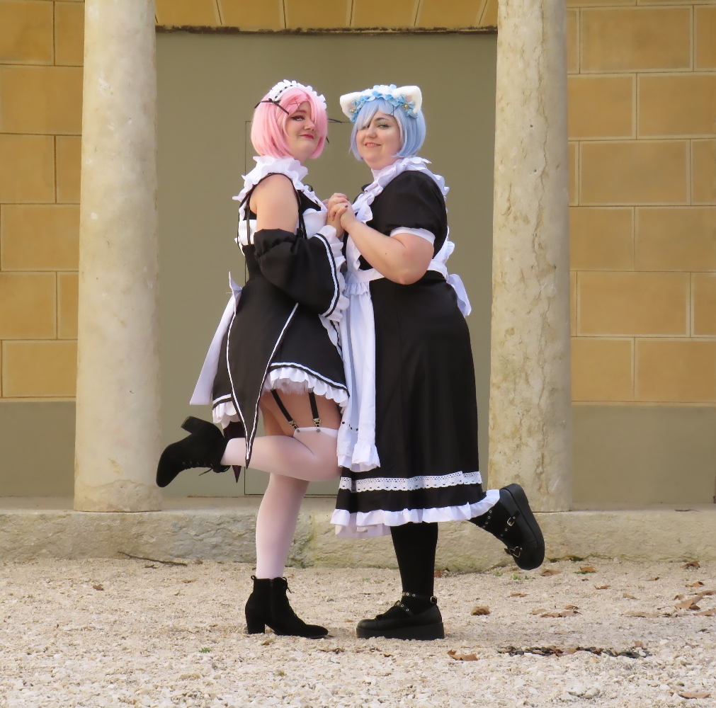 Ram et Rem - Photo 9