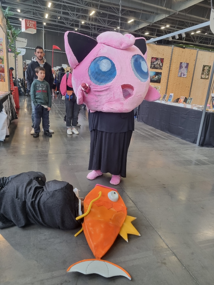 Rondoudou vs lord - Photo 2