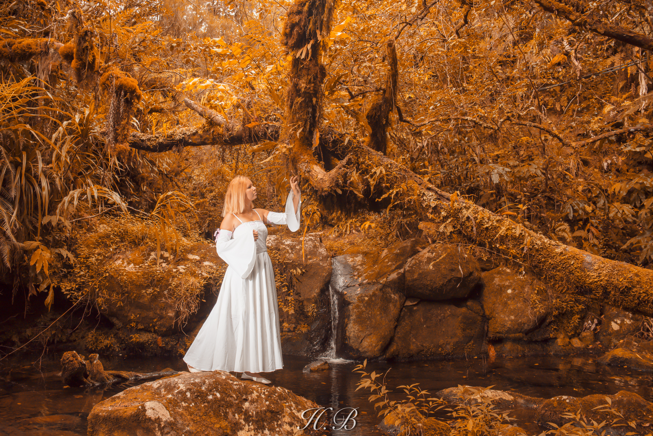 Shooting Nature — photo 10