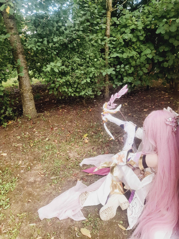 Elysia (Bailleul) - Photo 2