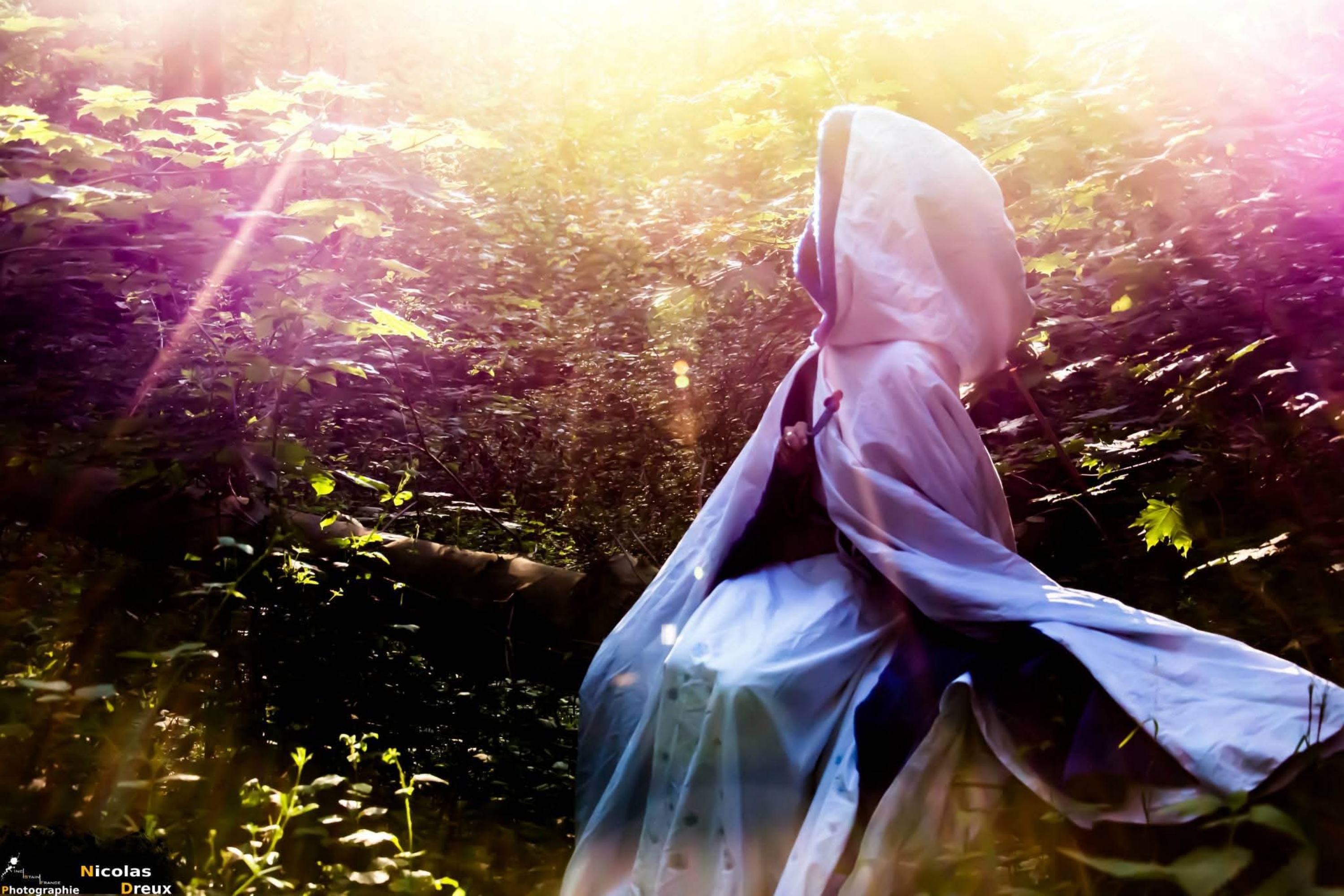 Mage des neiges — photo 5