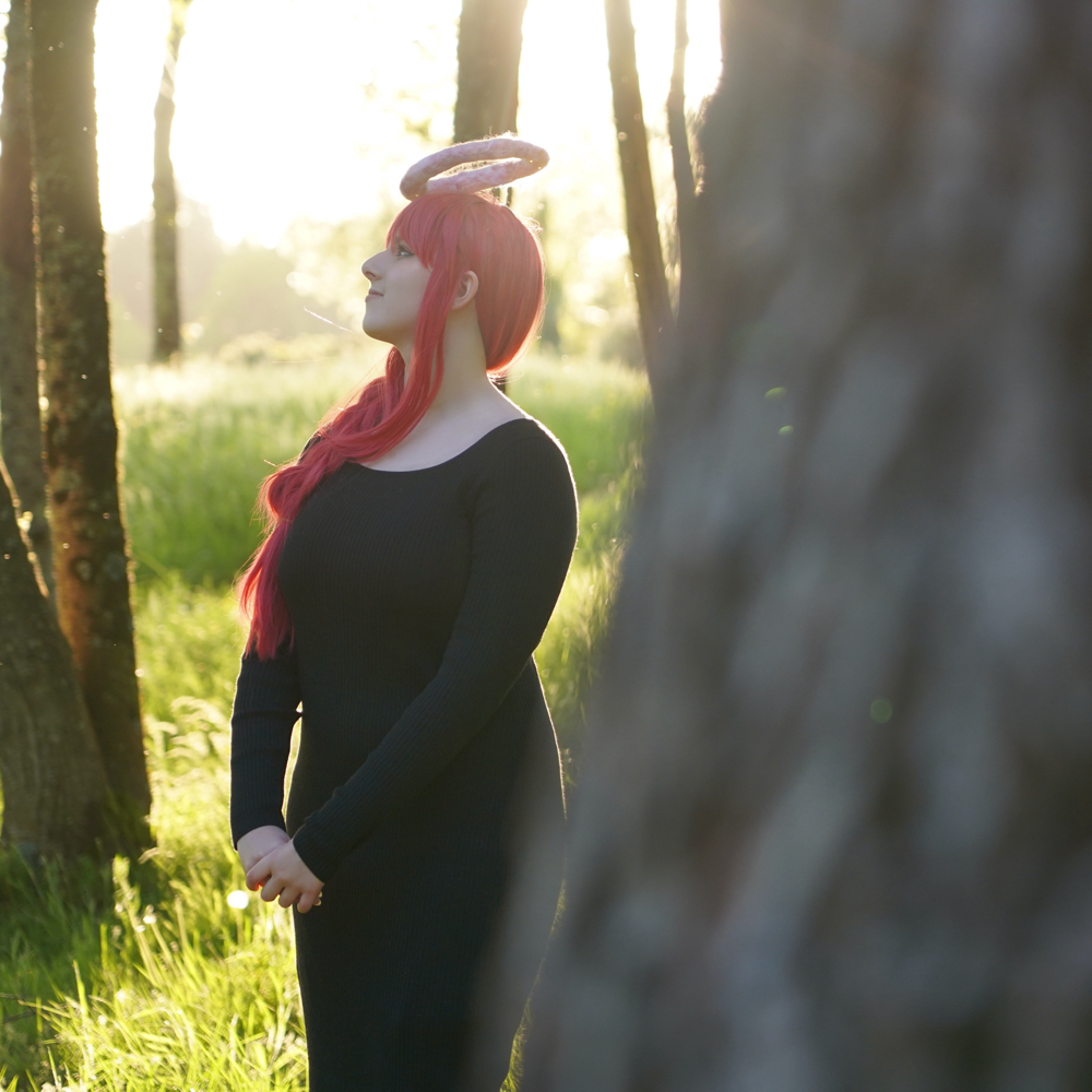 Makima japanantes - Photo 11