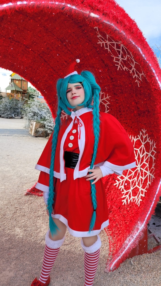 Miku — photo 25