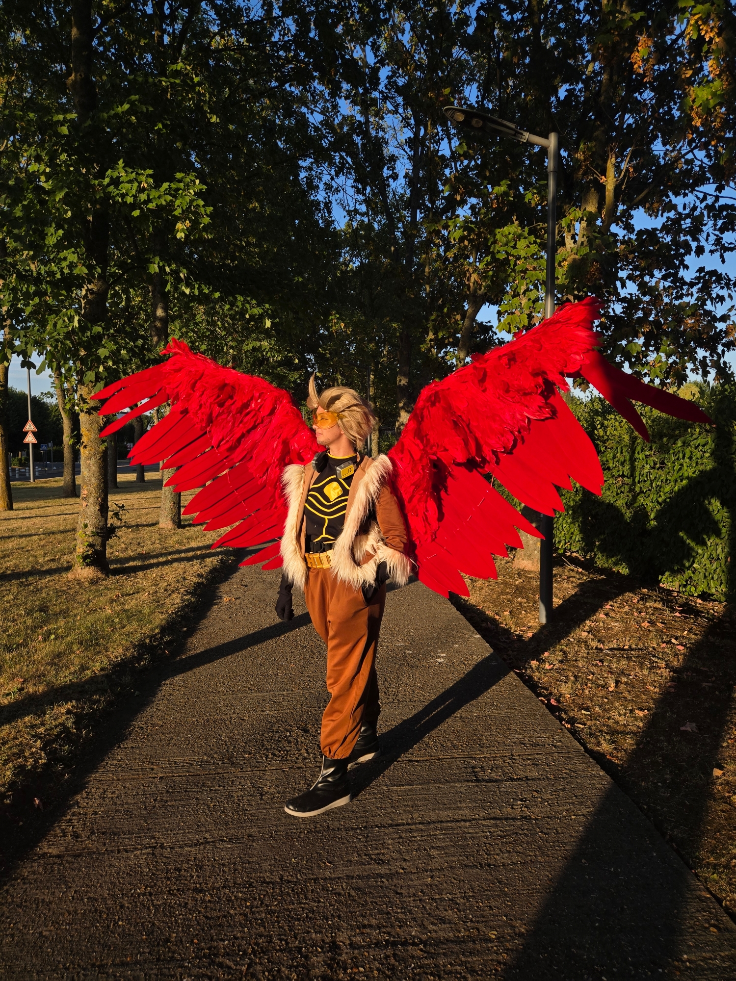 Hawks — photo 191