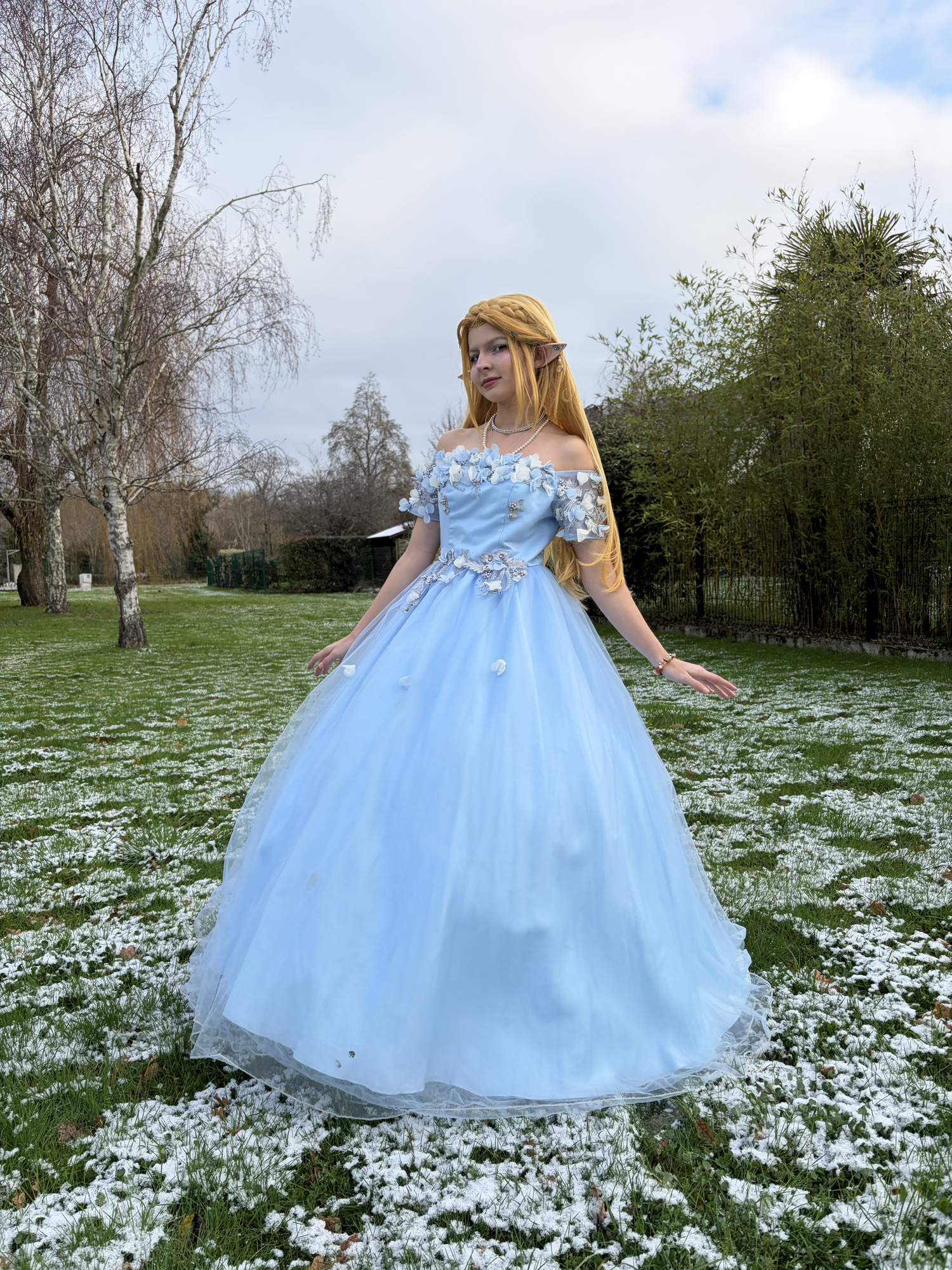 Zelda snow — photo 7
